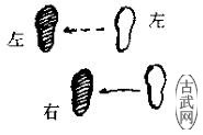 图29