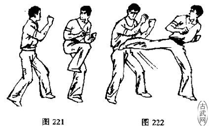 图221图222