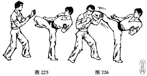 图225图226