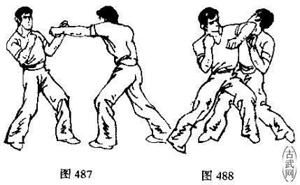 图487图488