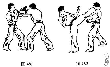 图481图482