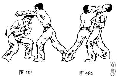 图485图486