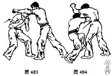 图483图484